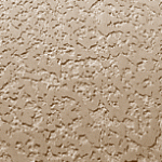 T5